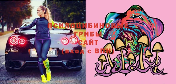 герыч Алексин